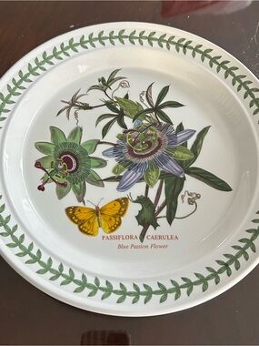 Portmeirion Dinner Plate